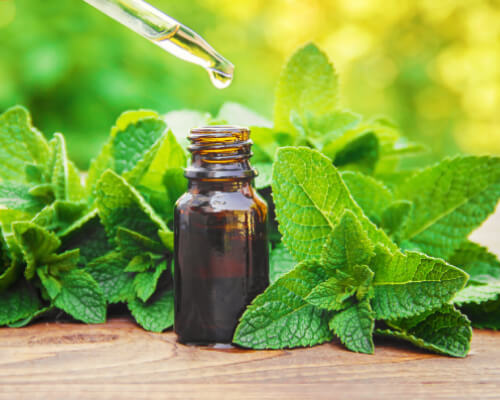 Essential Oil Suppliers In Ningthoukhong