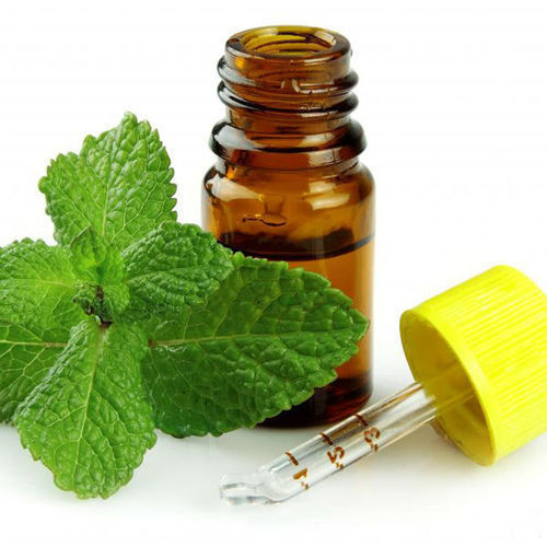 Mentha Citrata Oil In Phodong