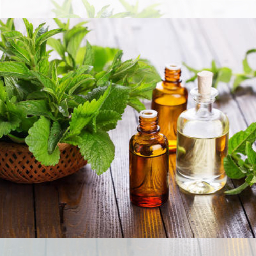 Natural Peppermint Oil In Manavalakurichi