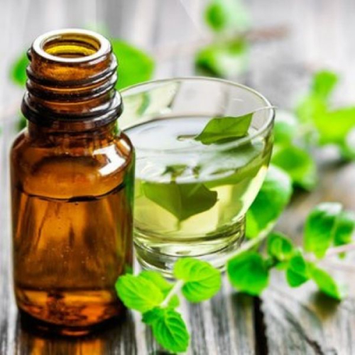 Peppermint Oil In Shamsabad